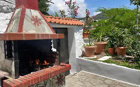 Vasilis Garden House