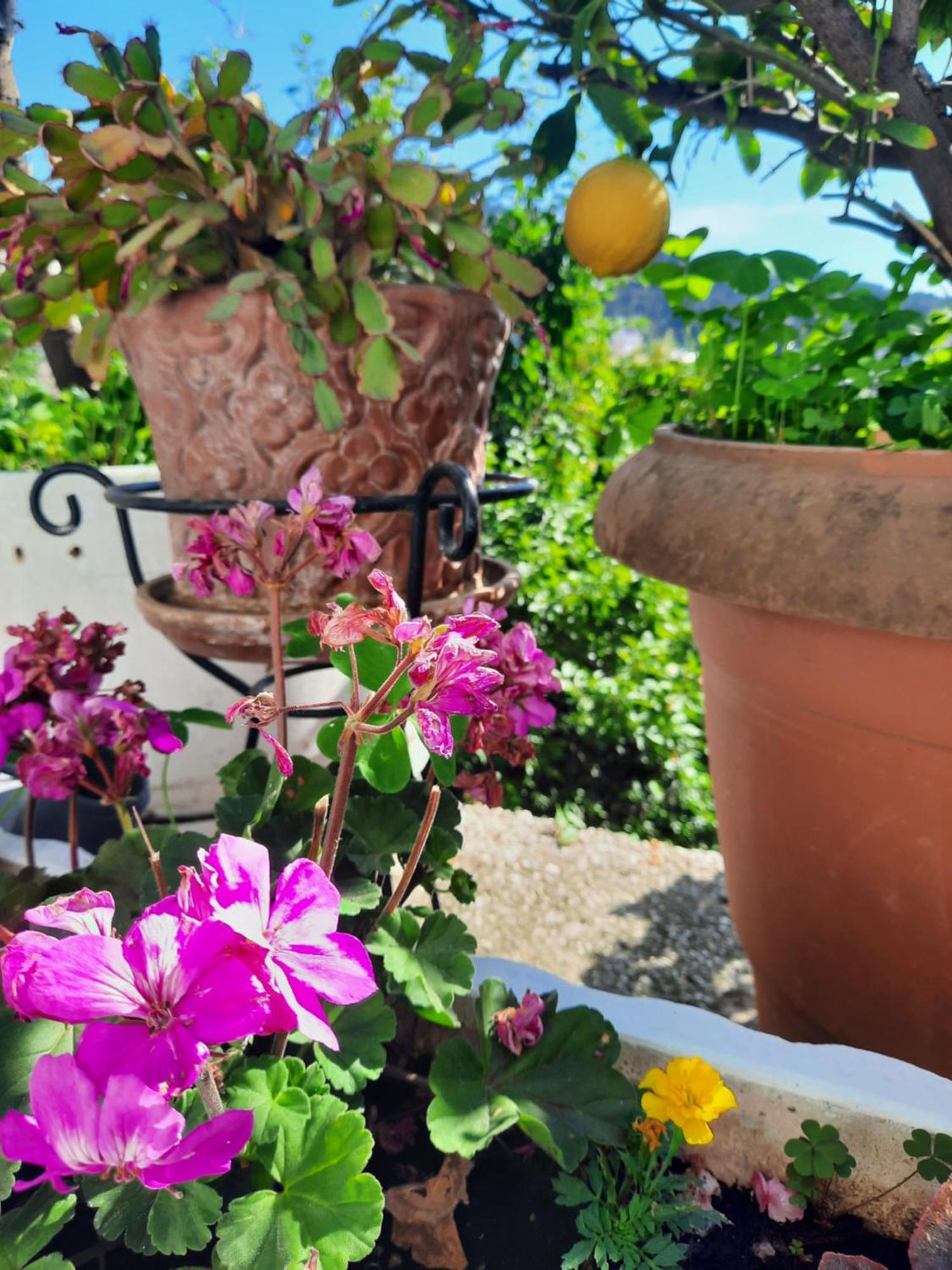 Vasilis Garden House Villa Kavala Dış mekan fotoğraf